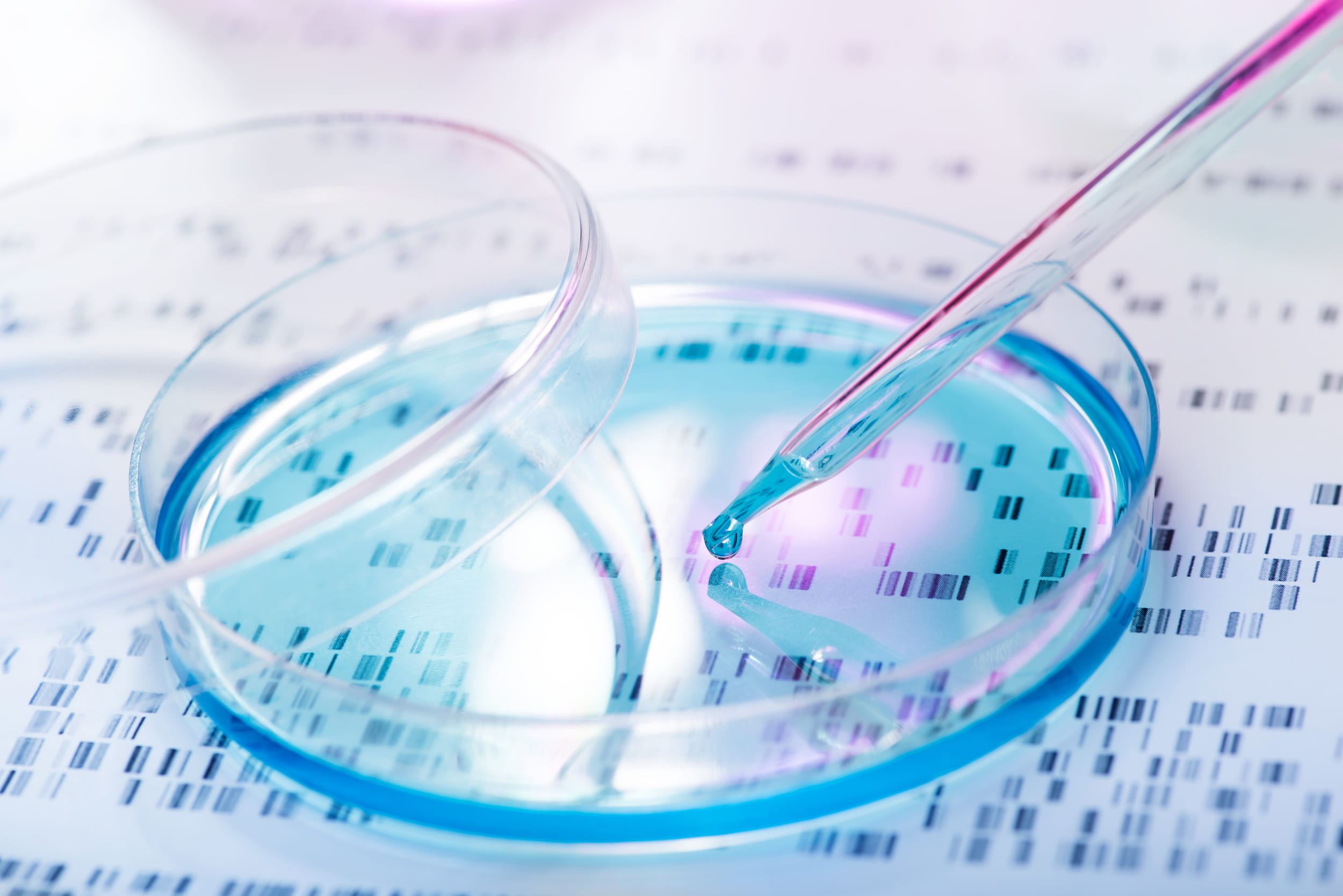 Close up of dish and pipette