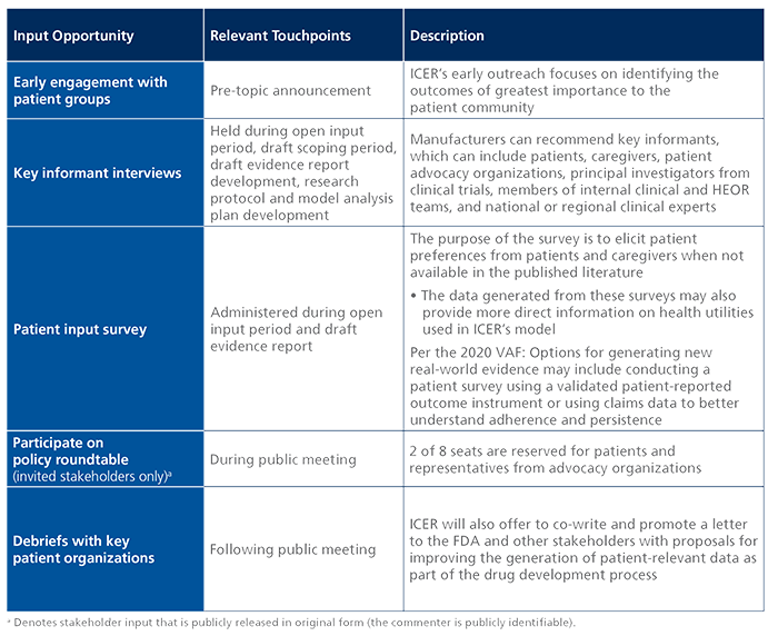 Key Patient Input Opportunities