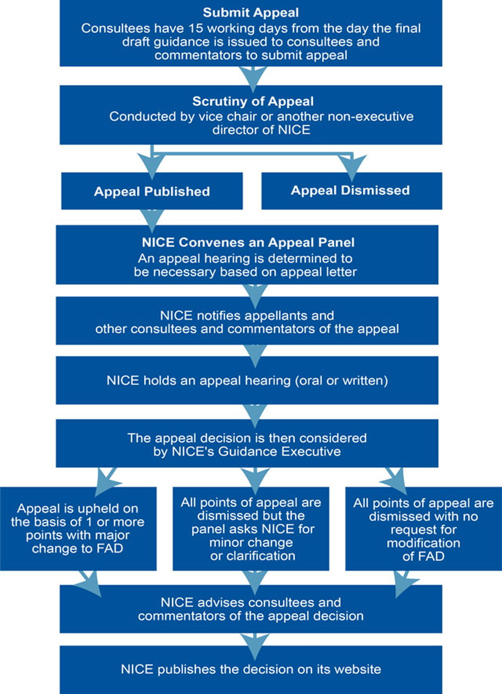 Fig1_NICE-Appeals-Process