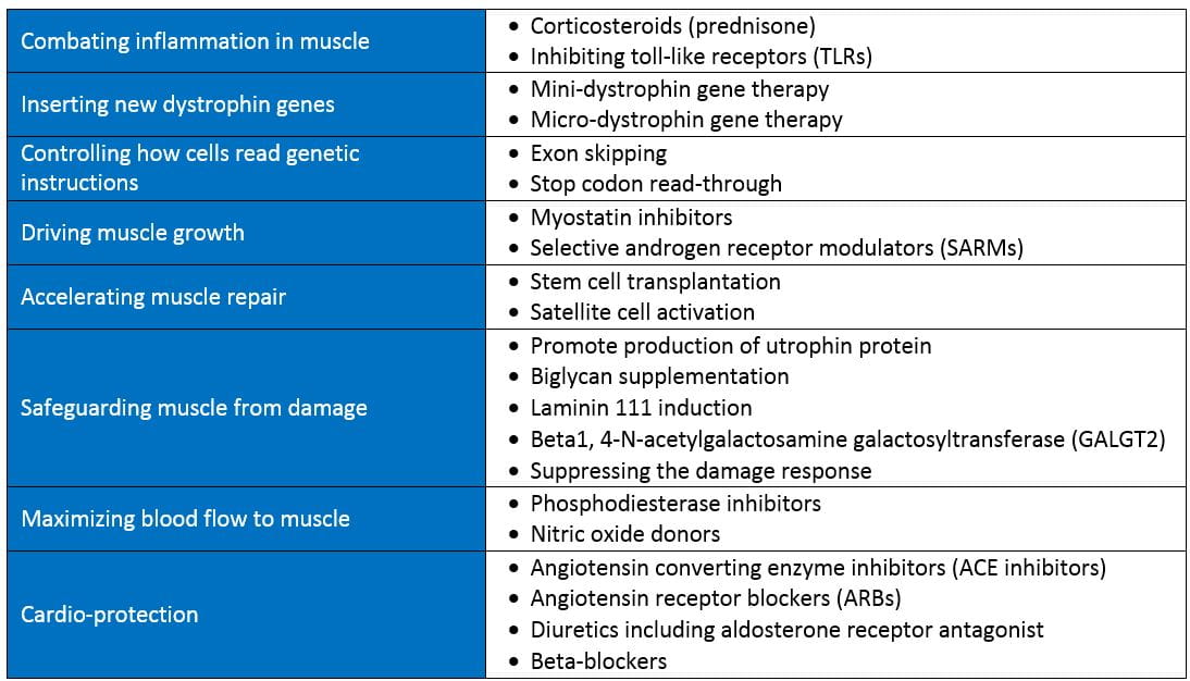 DMD Treatment Strategies Under Development