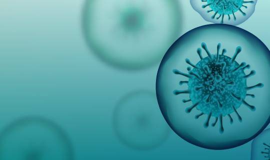 coronavirus