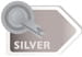 Silver award icon